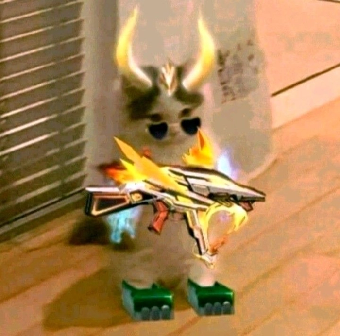 Meme con mèo cầm súng cho phản ứng mạnh