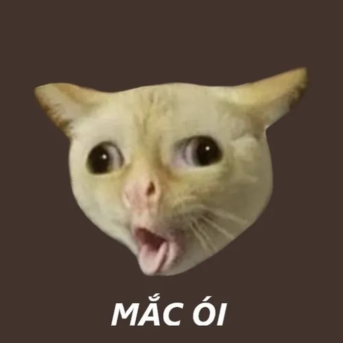 Meme con mèo oẹ được dùng nhiều trên mạng xã hội