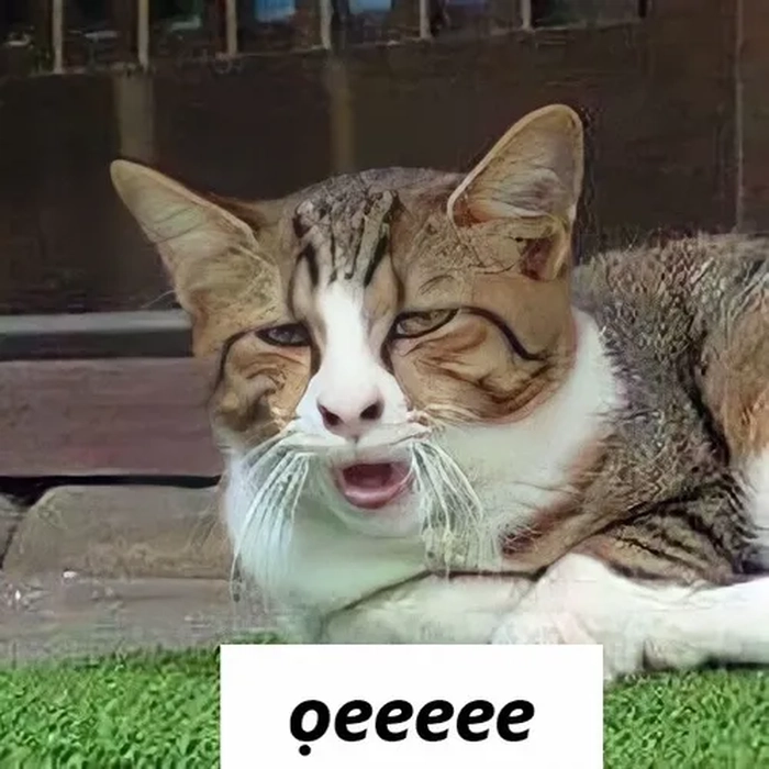 Meme con mèo oẹ phù hợp bình luận dạo