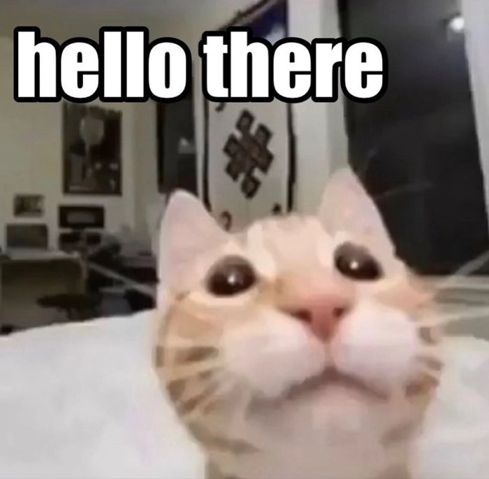 Meme con mèo xin chào mang cảm giác gần gũi