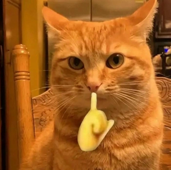 Meme ếch xanh suỵt biểu cảm không cần lời