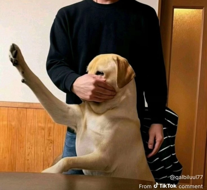 Meme ếch xanh suỵt biểu cảm quen thuộc