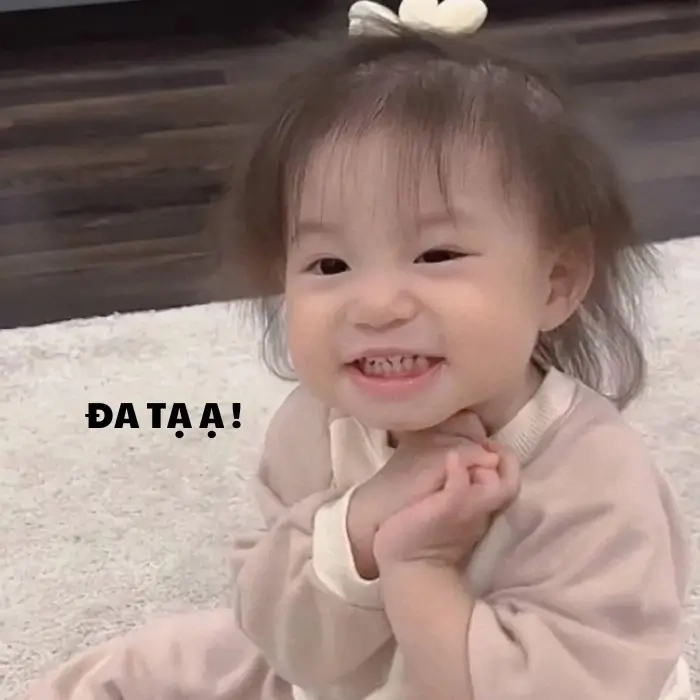 Meme gấu trúc đa tạ quen thuộc