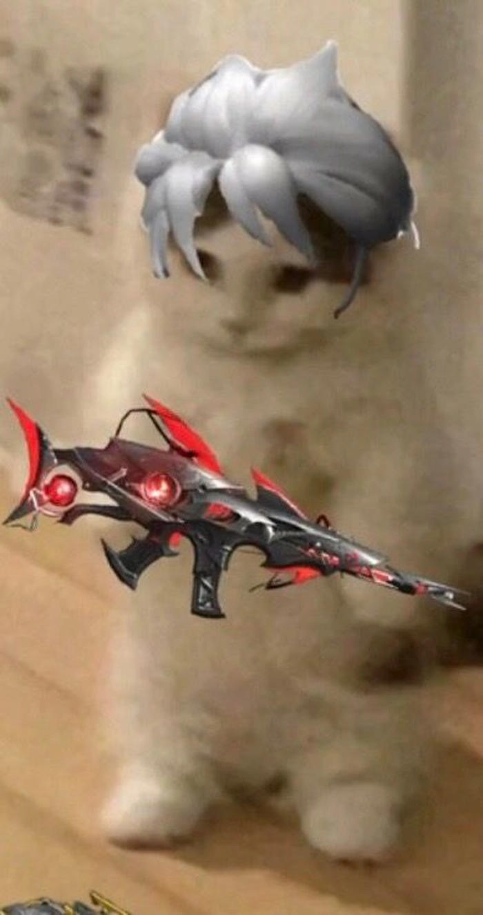 Meme mèo bựa cầm súng cho bình luận gắt