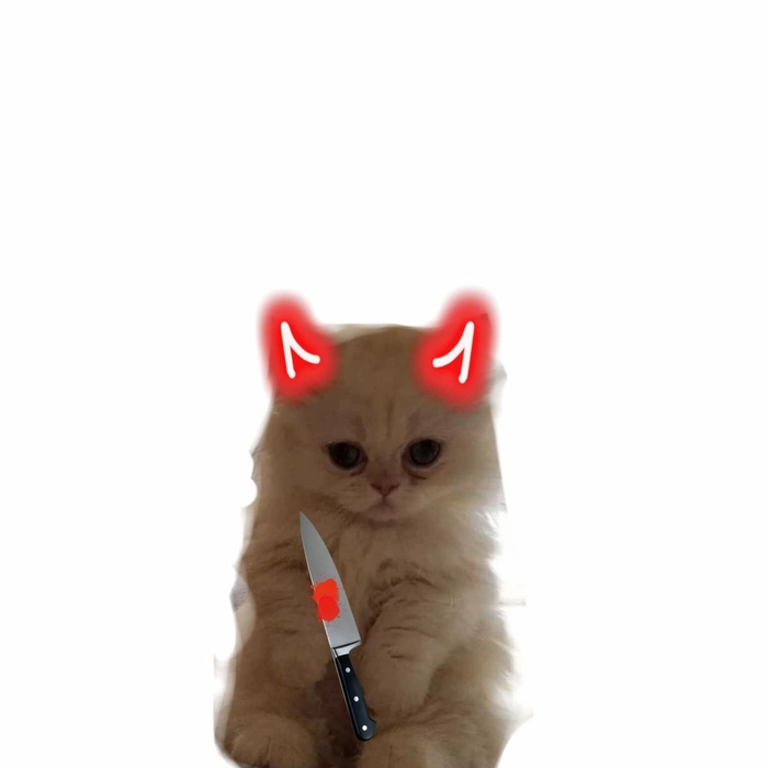 Meme mèo cầm dao phóng lợn nhìn là nhớ