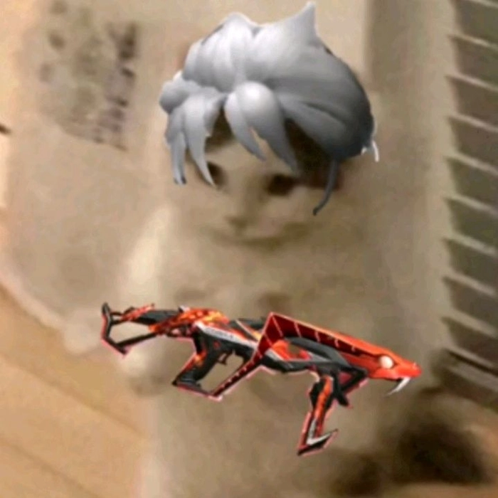 Meme mèo cầm súng bắn theo vibe im lặng