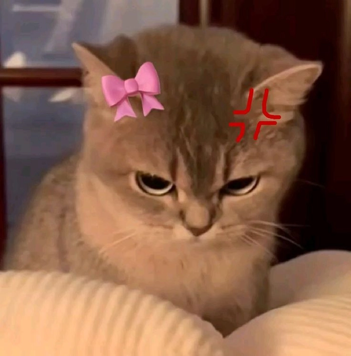 Meme mèo giận dỗi với biểu cảm hờn nhẹ