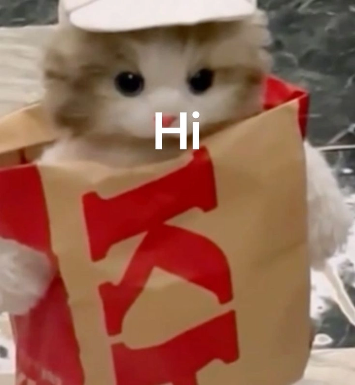 Meme mèo hello mang năng lượng tích cực