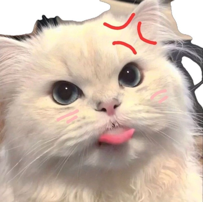 Meme mèo hờn dỗi theo cách rất dễ thương