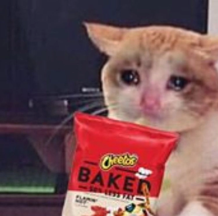 Meme mèo mặt buồn mang cảm giác xa xăm