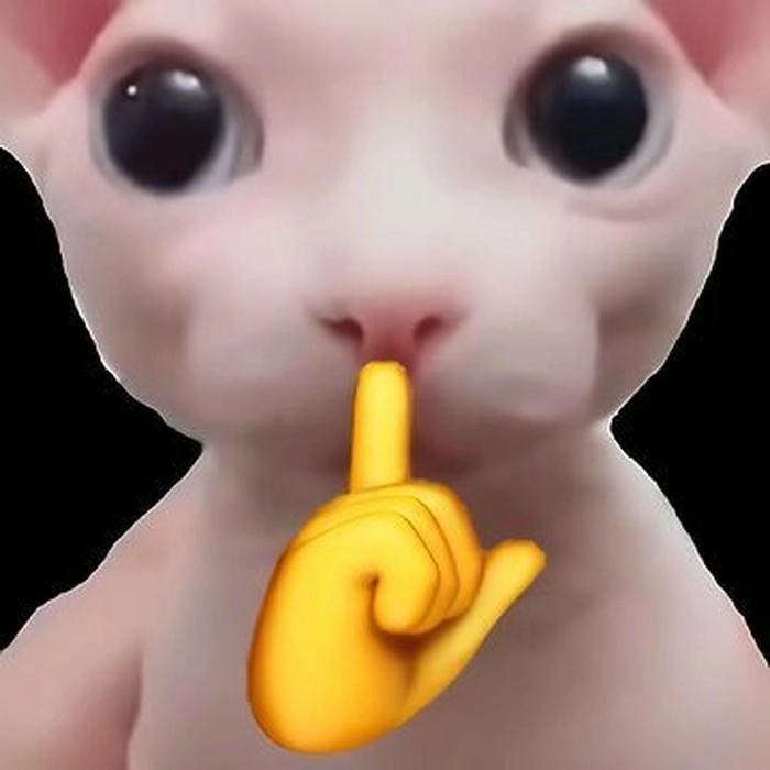 Meme mèo suỵt với ánh nhìn đầy hàm ý