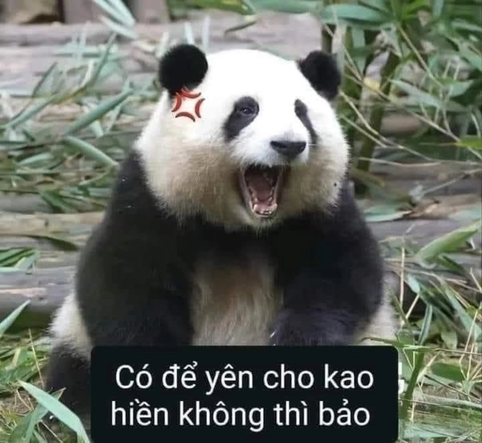 Meme suỵt im lặng đúng kiểu mạng xã hội