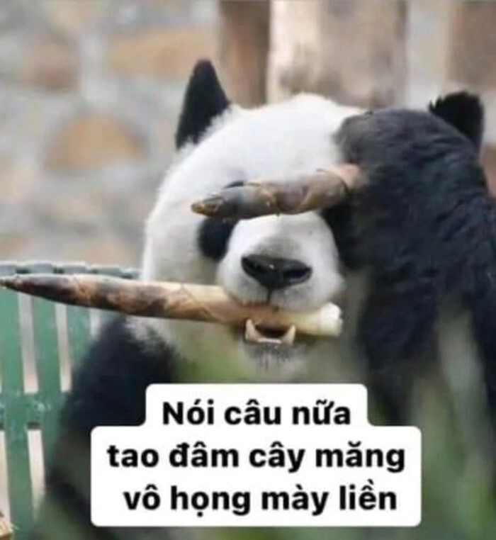 Meme suỵt im lặng nhưng không hề nhạt