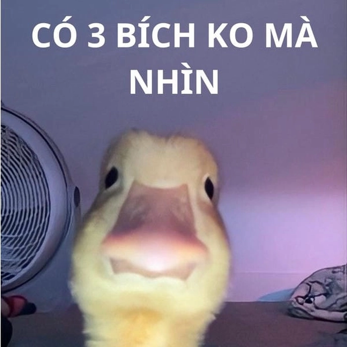 Meme tao có 3 bích dùng khi muốn giành lượt