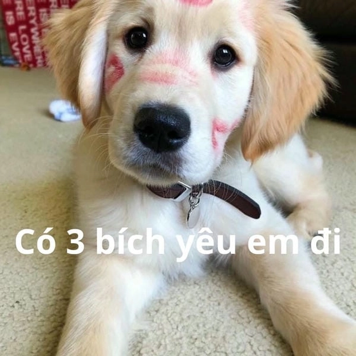 Meme tôi có 3 bích mang ý nghĩa xin quyền ưu tiên