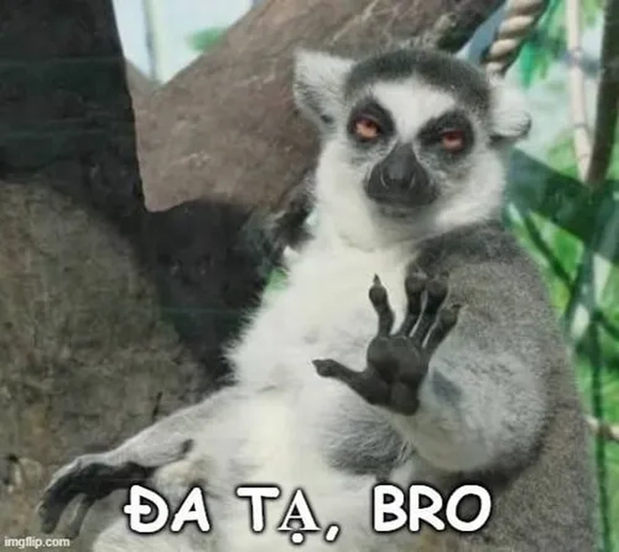 Meme xin đa tạ nhìn là hiểu