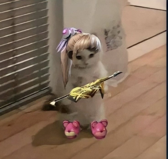 Mèo cầm súng meme dùng khi hết kiên nhẫn