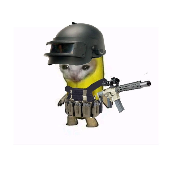 Mèo meme cầm súng mang cảm giác nguy hiểm