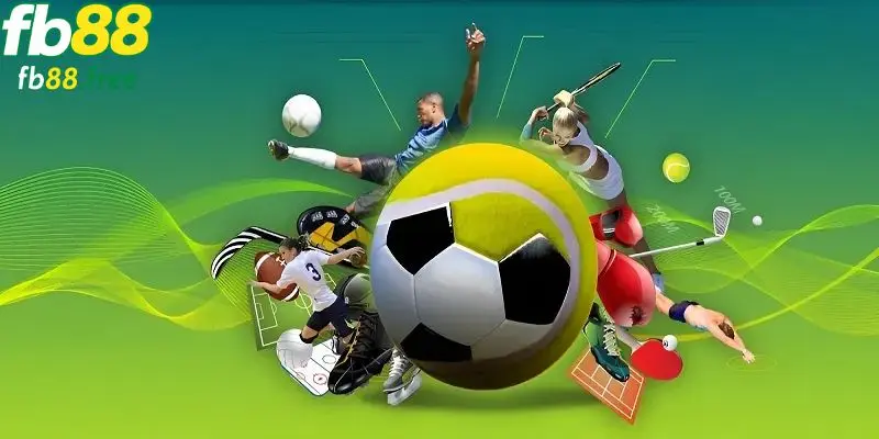 Tỷ lệ và nhịp trận – rõ ràng, cập nhật và dễ nắm bắt